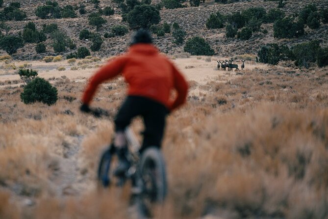 Nevada Trails to Rails Beginner & Intermediate Bike and Hike Tour - Frequently Asked Questions