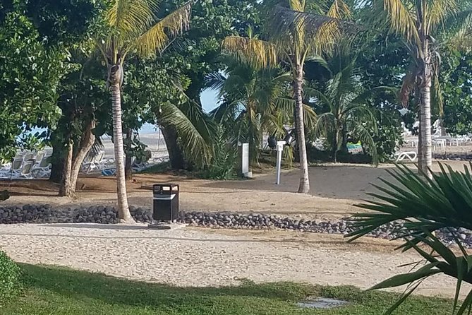 Nine Mile Tour From Negril - Frequently Asked Questions