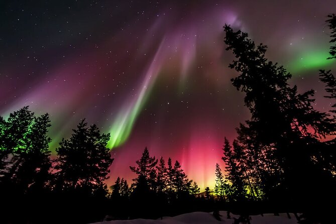 Northern Lights Hunt From Rovaniemi With Folk Tales and Snacks Over Campfire - Tips for a Successful Experience