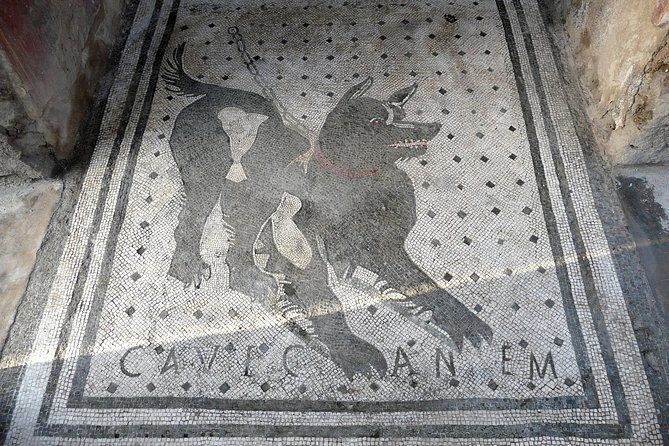 Pompeii Skip-the-Line Ticket and Virtual Museum - Tips for Your Visit