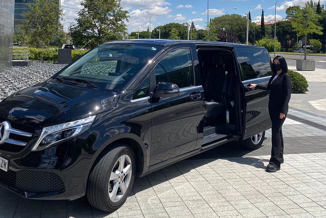 Private 12-Hour Tour to Sevilla From Malaga With Hotel Pick up - Guest Reviews and Feedback