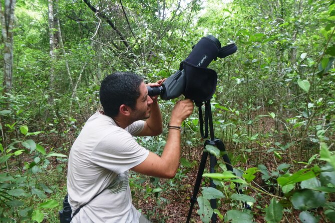 Private Birdwatching Tour in Sian Kaan Muyil - Customer Feedback