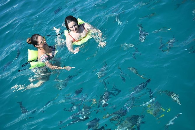 Private Catamaran Snorkeling Cruise in Los Cabos - Exclusive and Personalized