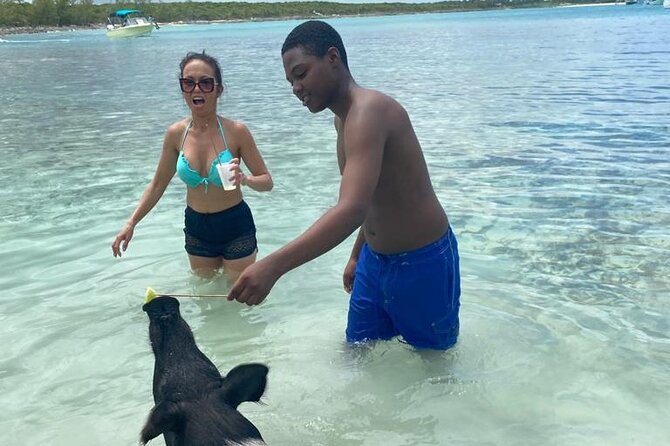Private Charter for Snorkeling, Swimming Pigs, Turtles & Fishing.... - Pricing and Package Options