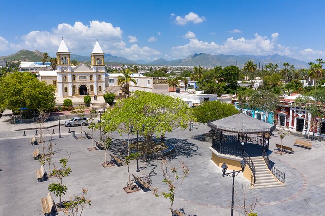 Private Day Trip to San José & Cabo San Lucas - Traveler Reviews and Feedback