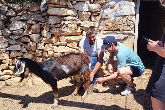 Private E-bike Guided Ode-yssey Uncharted Tour in Naxos - Tour Highlights