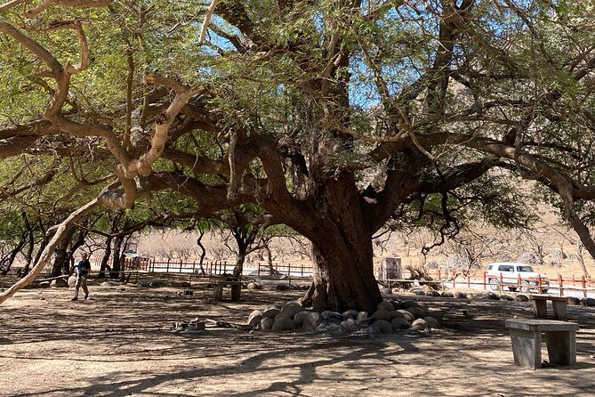 Private Full-Day East Oman Tour From Salalah With Lunch - Booking and Cancellation Policy