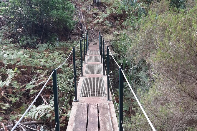 Private Guided Walk Levada Ponta Do Pargo - Booking and Availability
