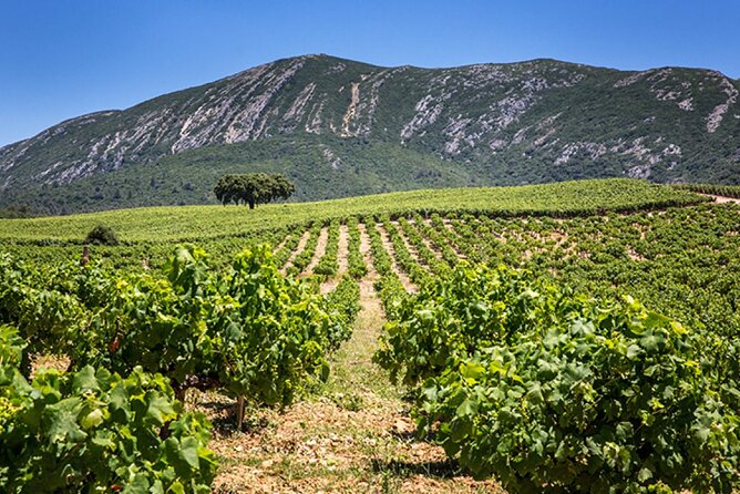 Private Half-Day Tour of Sesimbra and Arrábida - Tailored Itinerary Format