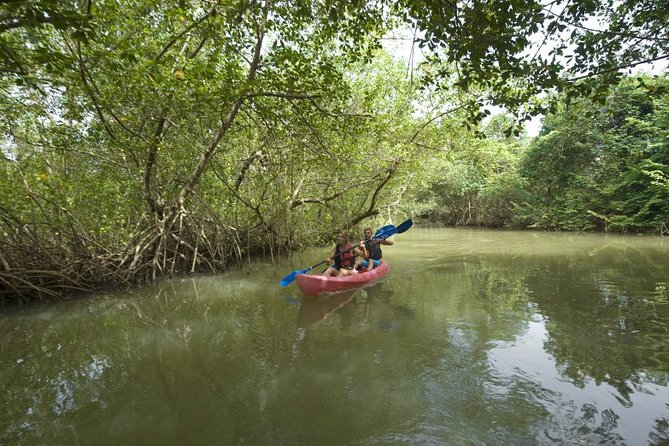 Private Kayaking Nature Tour of Los Haitises National Park - Health and Safety Considerations