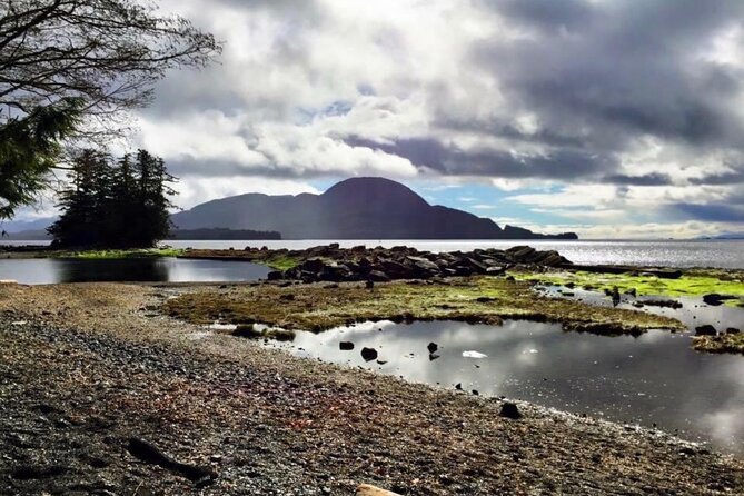 Private Ketchikan City Totems & Wildlife Van Tour - Essential Tips for Travelers