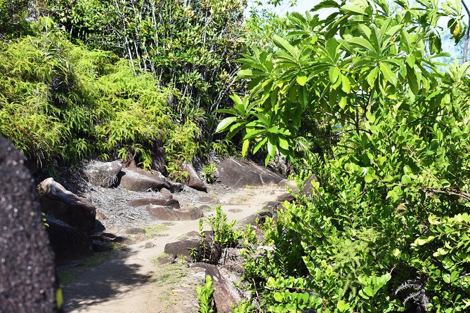 Private Nature Trail (Hiking) (1-2 Persons) - What to Expect on the Trail