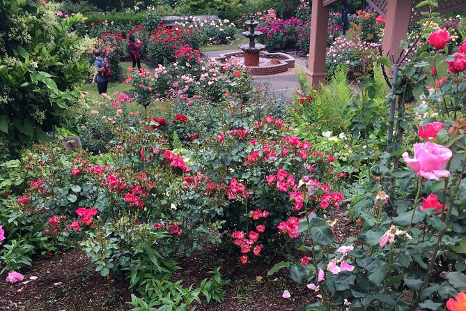 Private Portland Discovery Tour - Why Choose Terran Travels