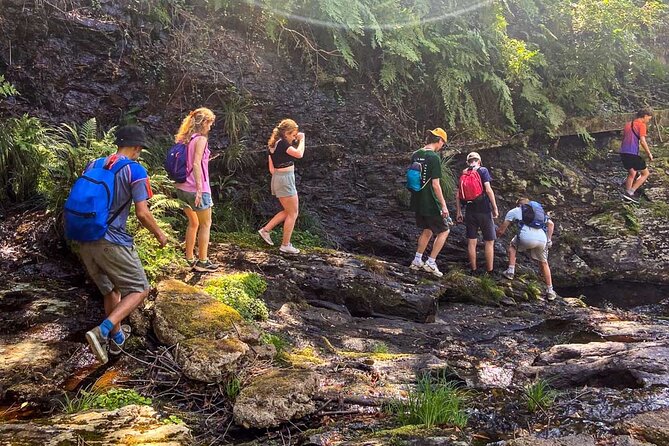 Private Secret Waterfall Hiking With Dinner - The Sum Up