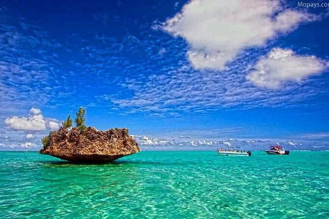 Private Speed Boat Tour and Dolphin Encounter at Ile Aux Benitier - Frequently Asked Questions
