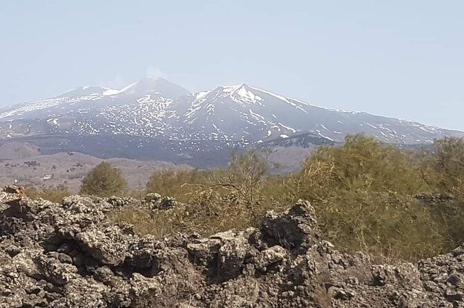 Private Tour From Catania to Etna Naxos and Taormina - Customized Itineraries