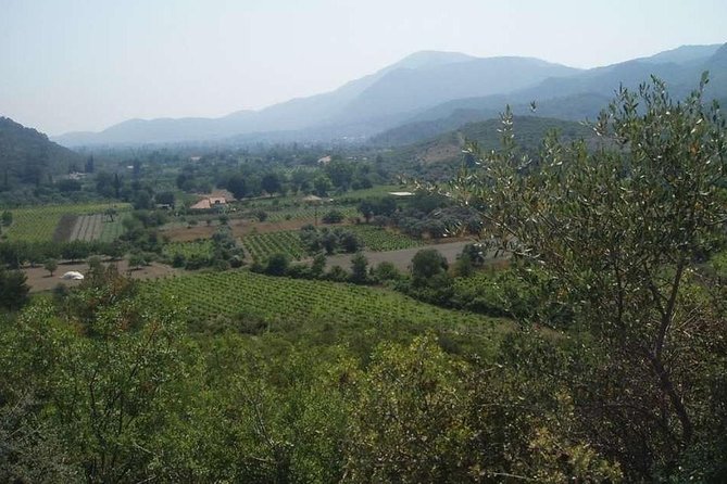 Private Tour From Kusadasi Port to Ephesus and Kirazli Village - Planning Your Kusadasi Port Excursion