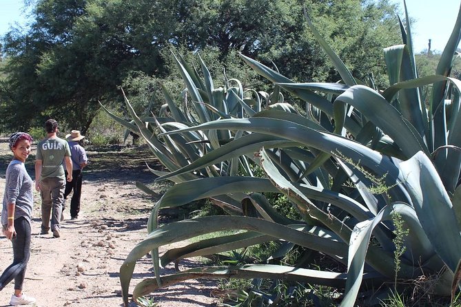 Private Tour of the Mezcal Route With Ancestral Drinks - Engaging With Local Communities