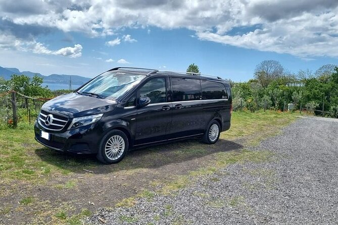 Private Transfer From Naples to Pompei or Vice Versa - Verified Customer Reviews