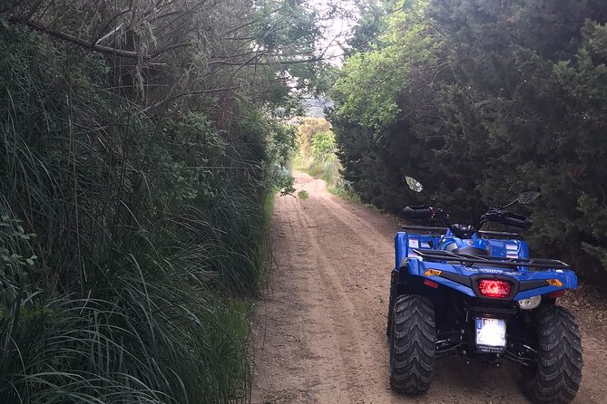Quad Excursions in the Heart of Sicily - Plan Your Quad Excursion in Sicily