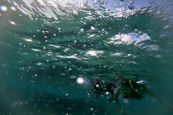 Reef Snorkel In National Park In Puerto Morelos With Lunch And Transportation - Frequently Asked Questions