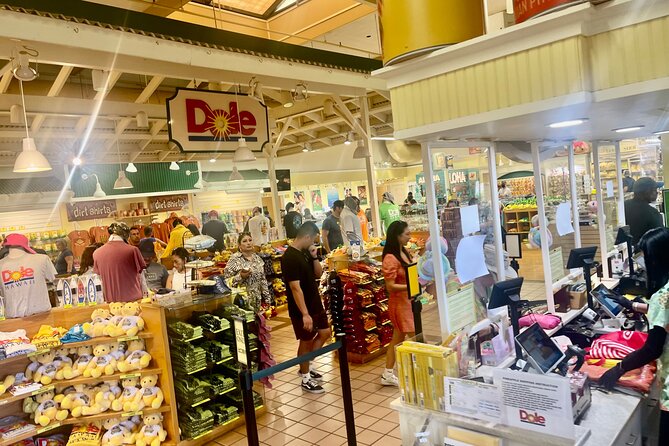 Roundtrip Shuttle From Waikiki to Dole Plantation & Haleiwa Town - Sum Up