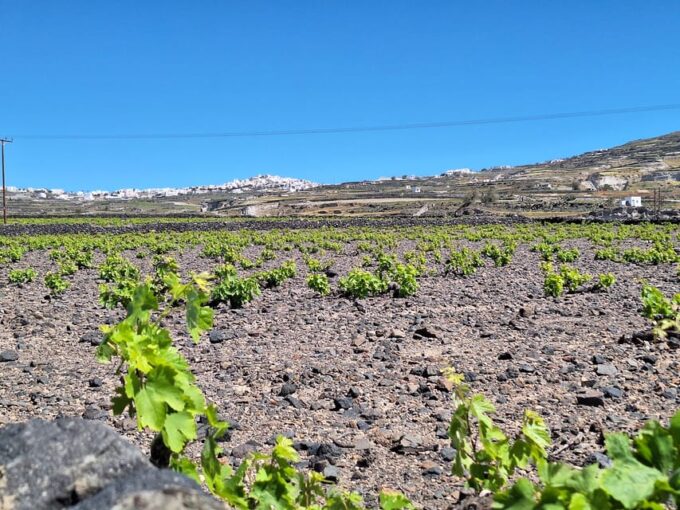 Santorini: Three Villages and Three Castles Hiking Tour - Visiting Megalochori