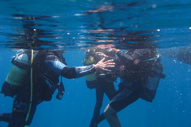 Scuba Diving Adventure in Santorini - New Scuba Diving Skills