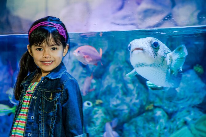 Sea Life Charlotte Concord Aquarium Admission Ticket - Location and Accessibility Information