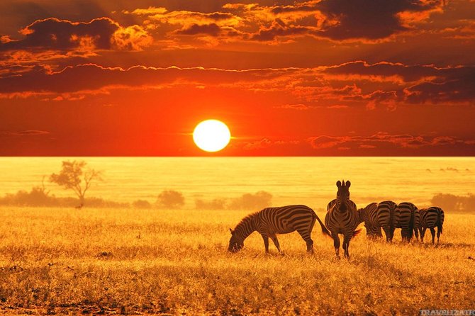 Serengeti & Ngorongoro 3 Days Fly Safari in From Zanzibar - Exploring the Ngorongoro Crater