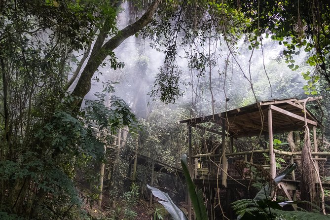 Skip the Line: Birds of Eden Admission Ticket - Why Choose This Ticket