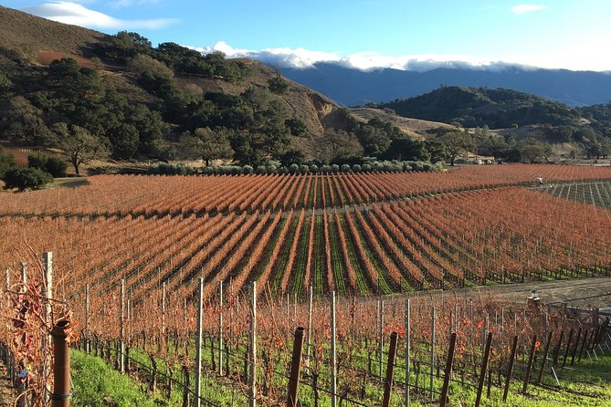 Small-Group Wine Tasting Tour of Santa Barbara Wine Country - Customer Testimonials