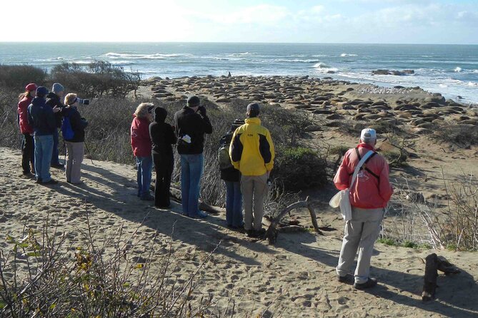 Smartphone Driving Tour Between Santa Maria & Monterey Big Sur - Questions About Your Stay