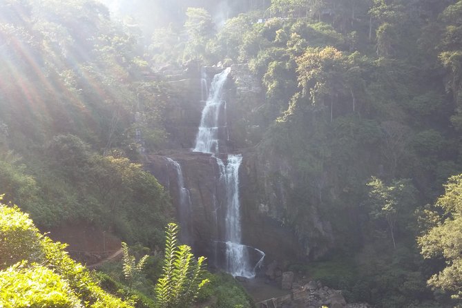 Sri Lanka Week in Paradise - Reviews and Testimonials