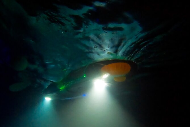 Sunset and Glow Clear Kayak Tour in Olowalu - Things To Known