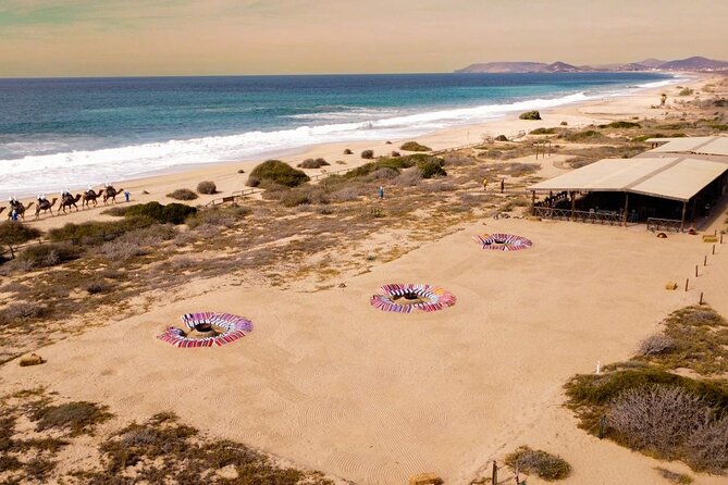 Sunset Beach Camel Ride With Mexican Buffet and Tequila Tasting - Booking and Pricing