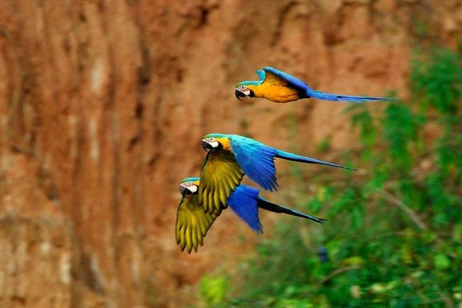 Tambopata (Puerto Maldonado) 4 Days - Booking and Traveler Information