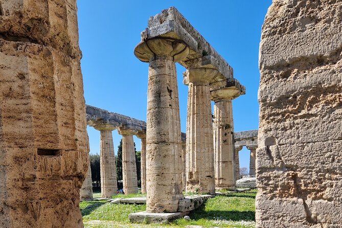 Temples of Paestum and Pompeii Tour Review - Since You Asked