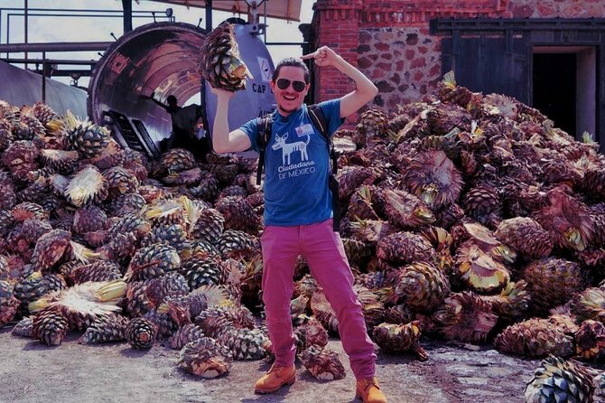 Tequila Tour - Tequila Sampling and Agave Fields