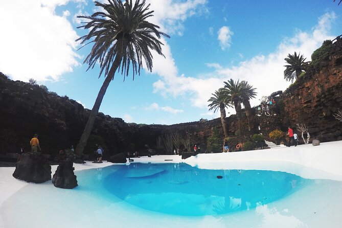 Tour of Jameos Del Agua Viewpoint and Valley of 1000 Palm Trees for Cruise Passengers - Tour Highlights