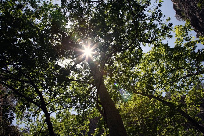 Tour TROODOS MOUNTAINS From Paphos - Cultural and Gastronomic Discoveries