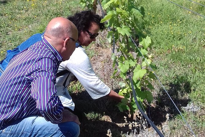 Traditional Vinho Verde Tour in Bowl With Private Transfer (Porto and Braga)