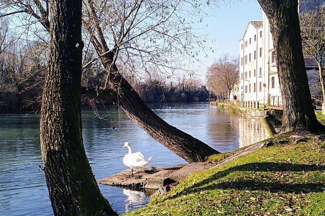 Treviso Tiramisù and the Sile River by Bicycle - The Sum Up