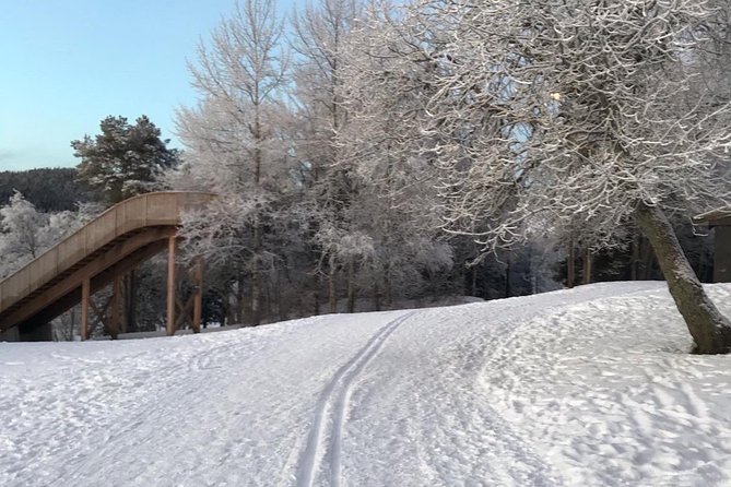 Trondheim Small-Group Cross-Country Skiing Adventure - Tour Group Size and Transportation Access