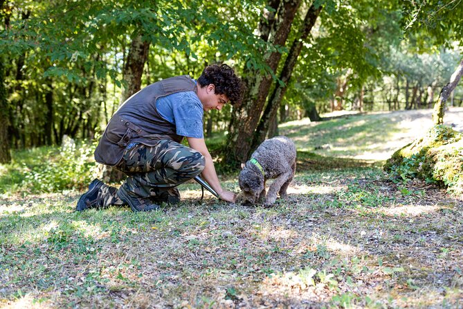 Truffle Lunch & Hunting Experience in San Gimignano - Highlights From Traveler Reviews