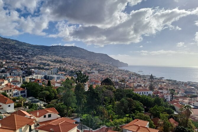 Tuk Tuk Tour in Funchal - Since You Asked