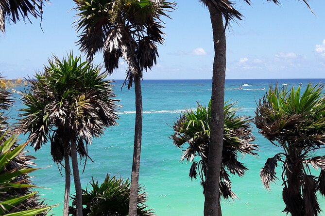 Tulum Private Boat Tour & Turtle Snorkeling Experience - Frequently Asked Questions