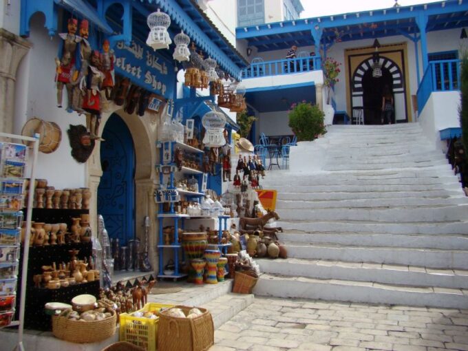 Tunis Governorate: Full-Day Tour - Participant Restrictions Noted