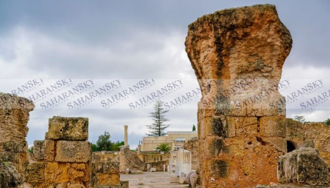 Tunis: Private Full-Day Tunis Highlights Tour - Important Information
