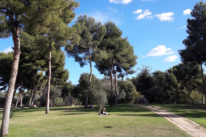 Turia Garden Private E-Scooter Tour  - Valencia - Tour Operator and Product Code